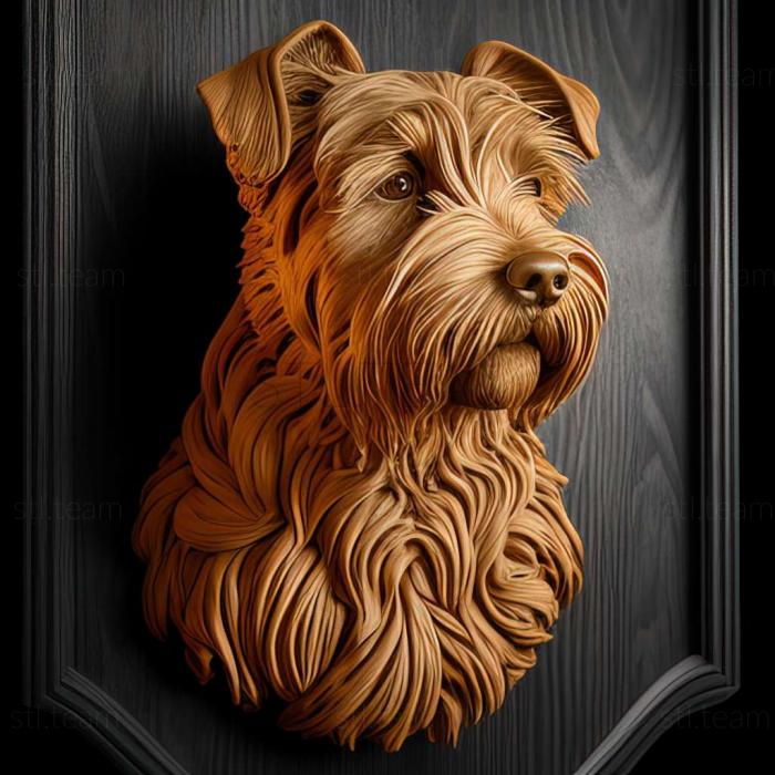 Animals Irish soft haired Wheat Terrier dog